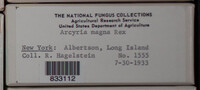 Image Associated With the Occurence